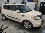 2010 KIA Soul +