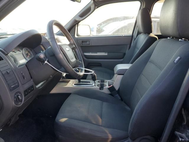 2009 Ford Escape XLT