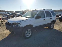 Salvage cars for sale at Anderson, CA auction: 2005 Ford Escape XLT