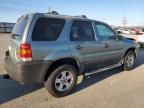 2006 Ford Escape XLT