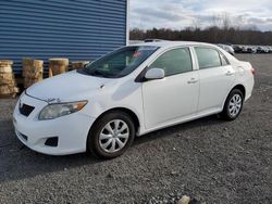 Salvage cars for sale from Copart Assonet, MA: 2010 Toyota Corolla Base