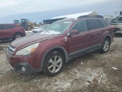 Salvage cars for sale at Brighton, CO auction: 2014 Subaru Outback 2.5I Limited