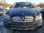 2007 Mercedes-Benz ML 500