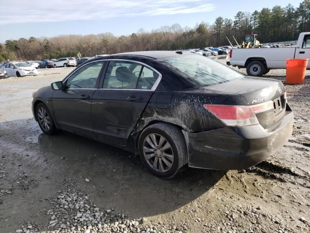 2011 Honda Accord EXL