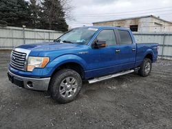 Ford salvage cars for sale: 2010 Ford F150 Supercrew