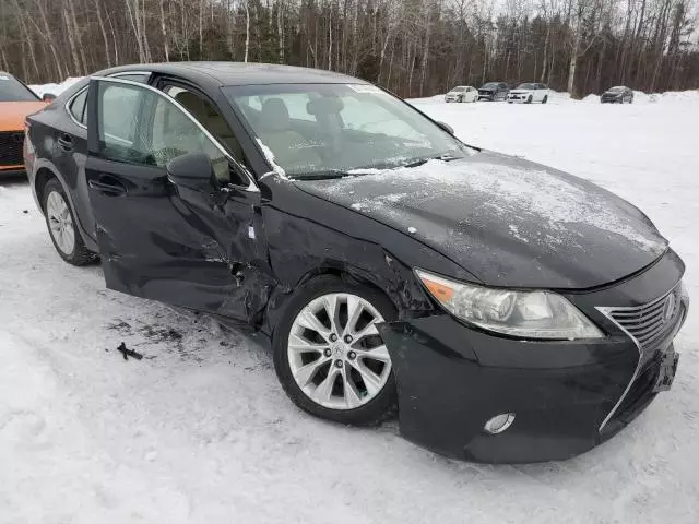 2013 Lexus ES 300H