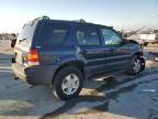 2003 Ford Escape XLT