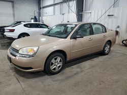 Salvage cars for sale at Ham Lake, MN auction: 2005 Chevrolet Malibu LS