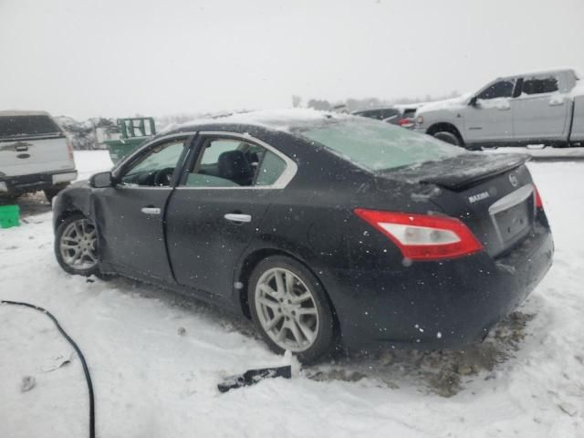 2010 Nissan Maxima S