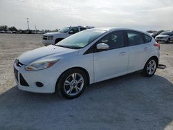 Salvage cars for sale at Arcadia, FL auction: 2013 Ford Focus SE