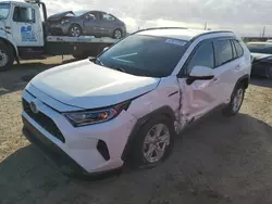 Salvage cars for sale at Tucson, AZ auction: 2021 Toyota Rav4 XLE