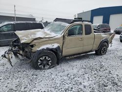 Salvage cars for sale at Elmsdale, NS auction: 2019 Toyota Tacoma Access Cab