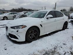 Salvage Cars with No Bids Yet For Sale at auction: 2017 Alfa Romeo Giulia Quadrifoglio