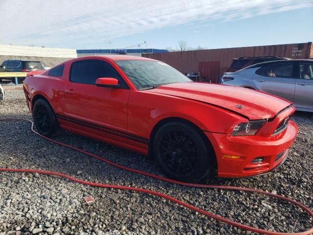 2013 Ford Mustang