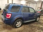 2008 Ford Escape XLT