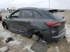 2023 Ford Escape ST Line Select