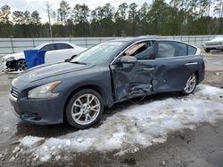 2013 Nissan Maxima S en venta en Harleyville, SC