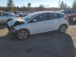 Salvage cars for sale at Gaston, SC auction: 2013 Ford Focus SE