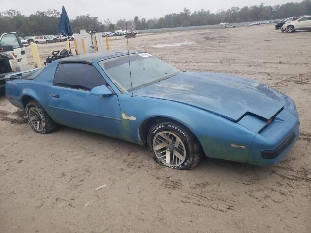 1988 Pontiac Firebird