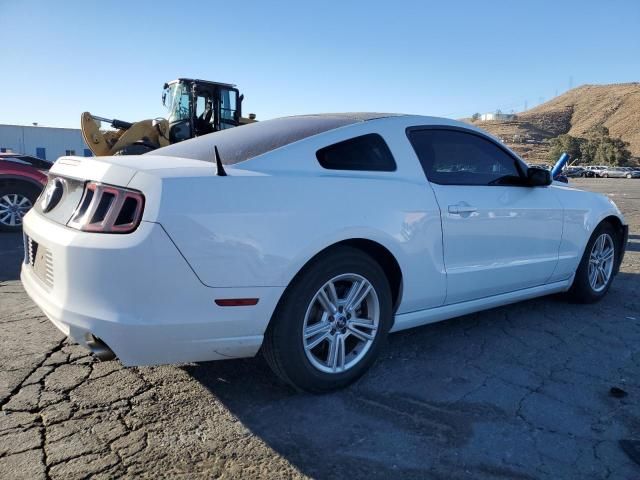 2014 Ford Mustang