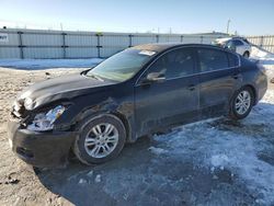 Nissan Vehiculos salvage en venta: 2012 Nissan Altima Base