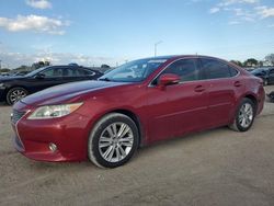 Salvage cars for sale at Homestead, FL auction: 2014 Lexus ES 350