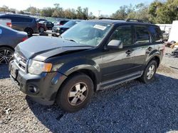 2011 Ford Escape XLT en venta en Riverview, FL