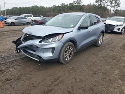 Ford salvage cars for sale: 2022 Ford Escape SE