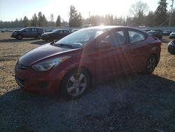 Salvage cars for sale at Graham, WA auction: 2013 Hyundai Elantra GLS