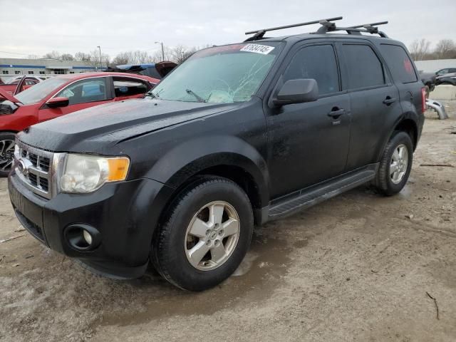 2011 Ford Escape XLT