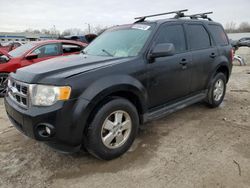 2011 Ford Escape XLT en venta en Louisville, KY