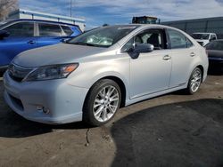 Salvage cars for sale at Albuquerque, NM auction: 2010 Lexus HS 250H