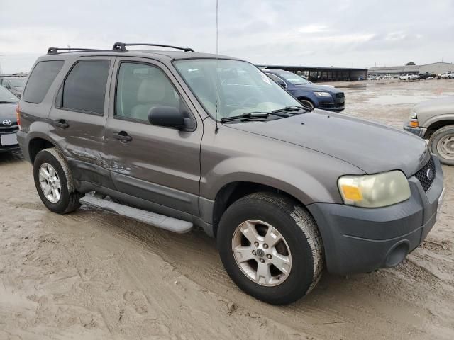 2005 Ford Escape XLT