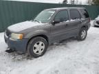 2003 Ford Escape XLT