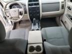 2010 Ford Escape XLS