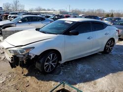 Salvage cars for sale at Louisville, KY auction: 2016 Nissan Maxima 3.5S