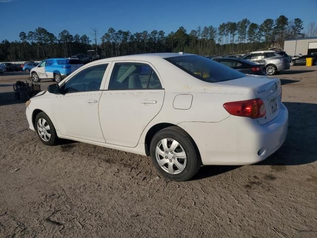 2010 Toyota Corolla Base