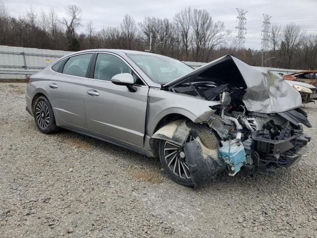 2021 Hyundai Sonata Hybrid