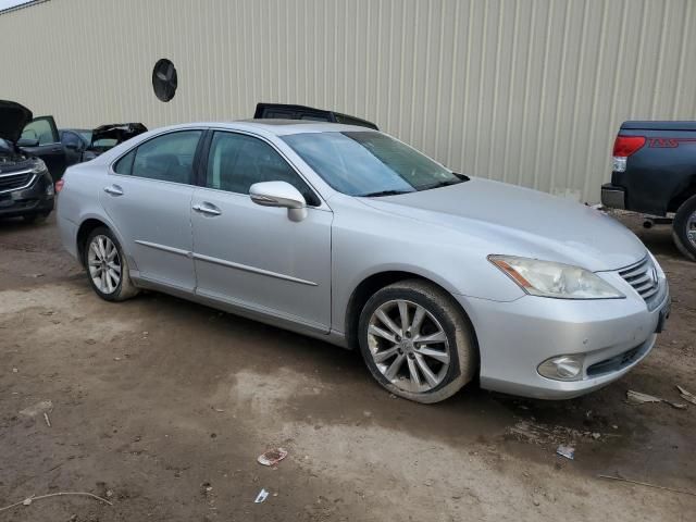 2010 Lexus ES 350