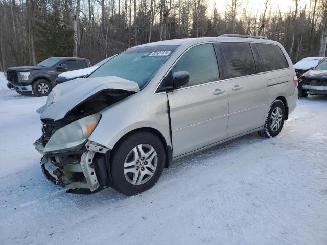 2005 Honda Odyssey EXL