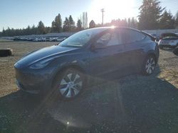 2020 Tesla Model Y en venta en Graham, WA