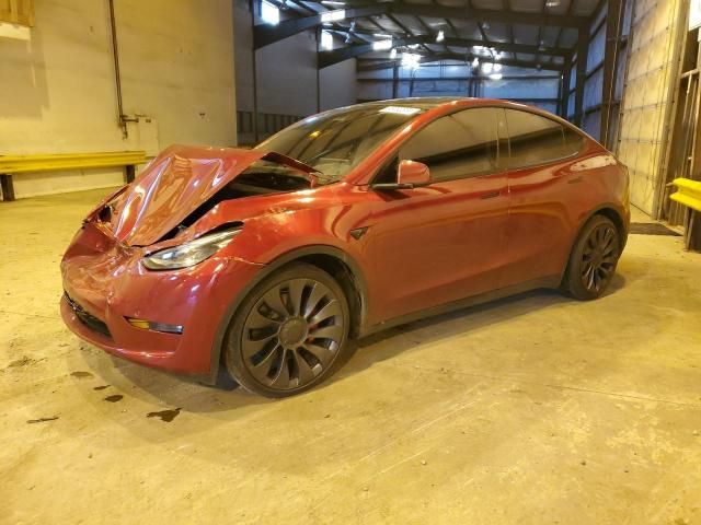 2024 Tesla Model Y