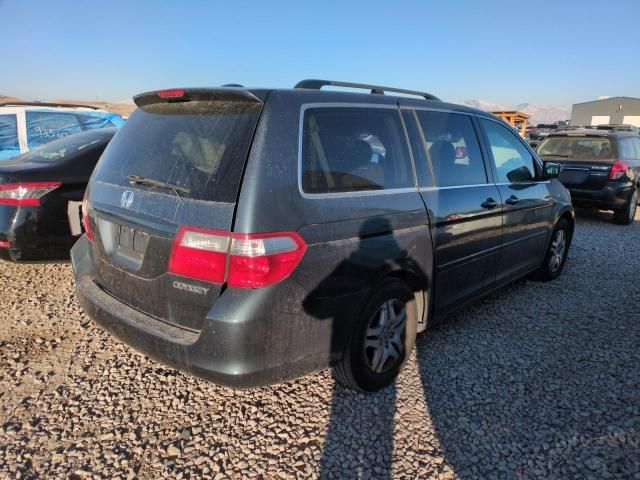 2005 Honda Odyssey EXL