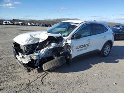 Salvage Cars with No Bids Yet For Sale at auction: 2023 Ford Escape Active