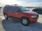 2007 Ford Escape XLT