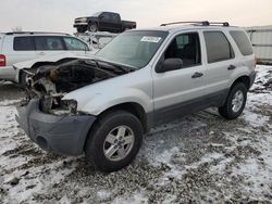 Salvage cars for sale at Earlington, KY auction: 2007 Ford Escape XLS