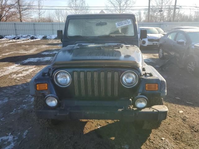 2001 Jeep Wrangler / TJ SE