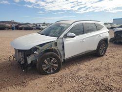 Hyundai salvage cars for sale: 2024 Hyundai Tucson Blue