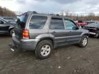 2006 Ford Escape XLT