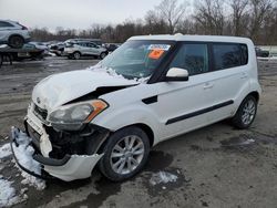 Salvage cars for sale at Ellwood City, PA auction: 2013 KIA Soul +